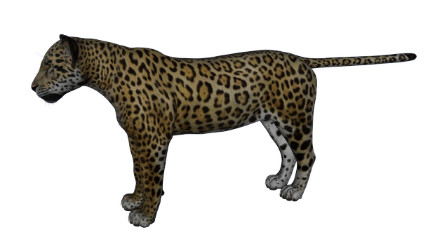 jaguar 1